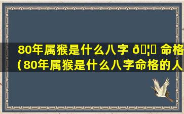 80年属猴是什么八字 🦟 命格（80年属猴是什么八字命格的人）